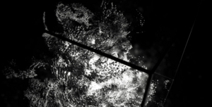 Projekt Pandorra / Credits: Pandora – Margarita Gehl, Philip Gerdes, Constantin Ruchay